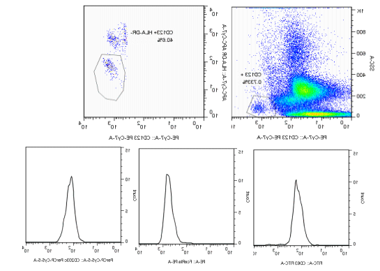 Human basophil activation, degranulation and sensitization detection kit